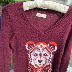 Hollister bear sweater for girls